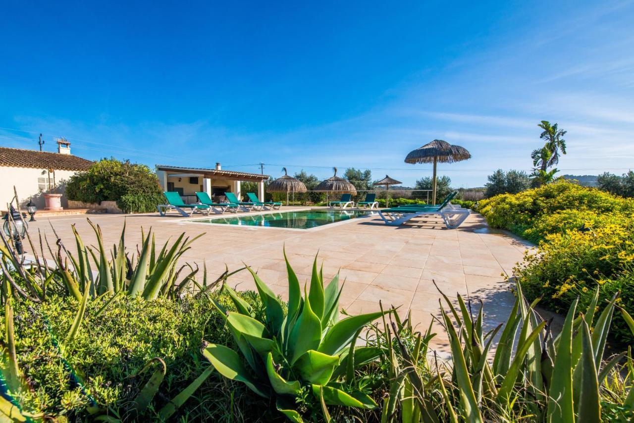 Finca Cas Padrins Manacor  Luaran gambar